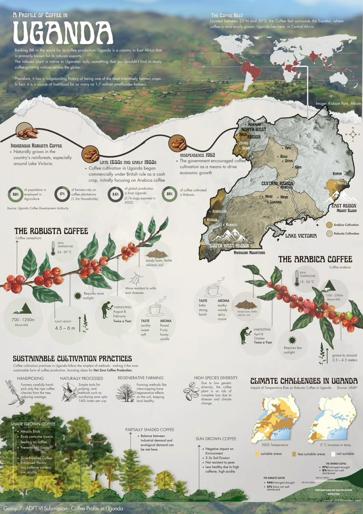 Presentations - Infographics sample 10